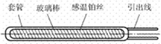 說明: 鉑熱電阻